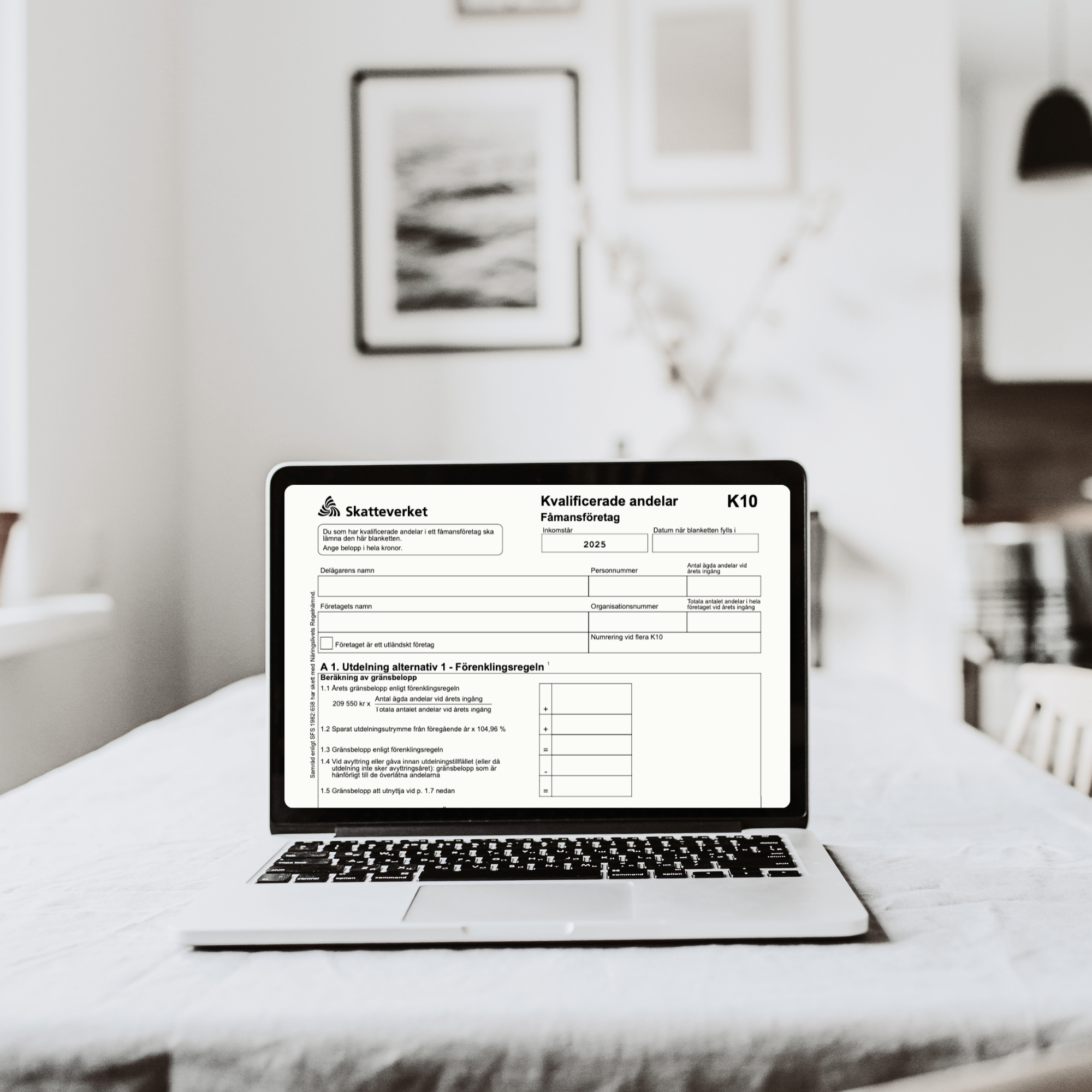 K10-blanketten guide